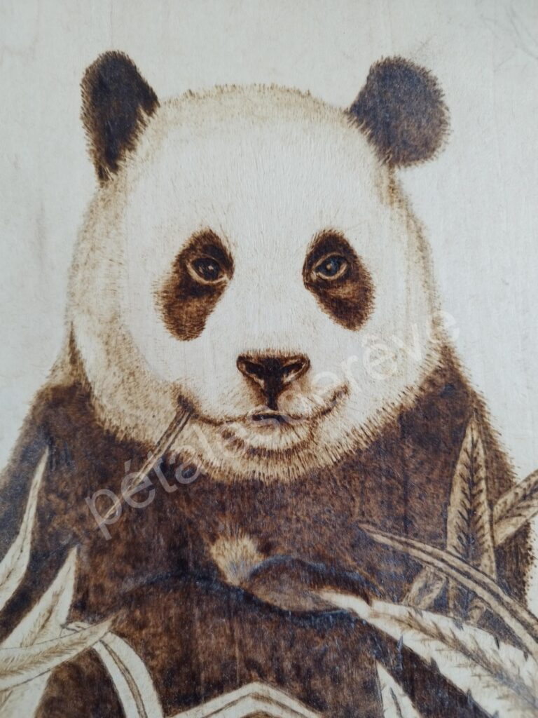 panda, fait main, décoration, pyrogravure