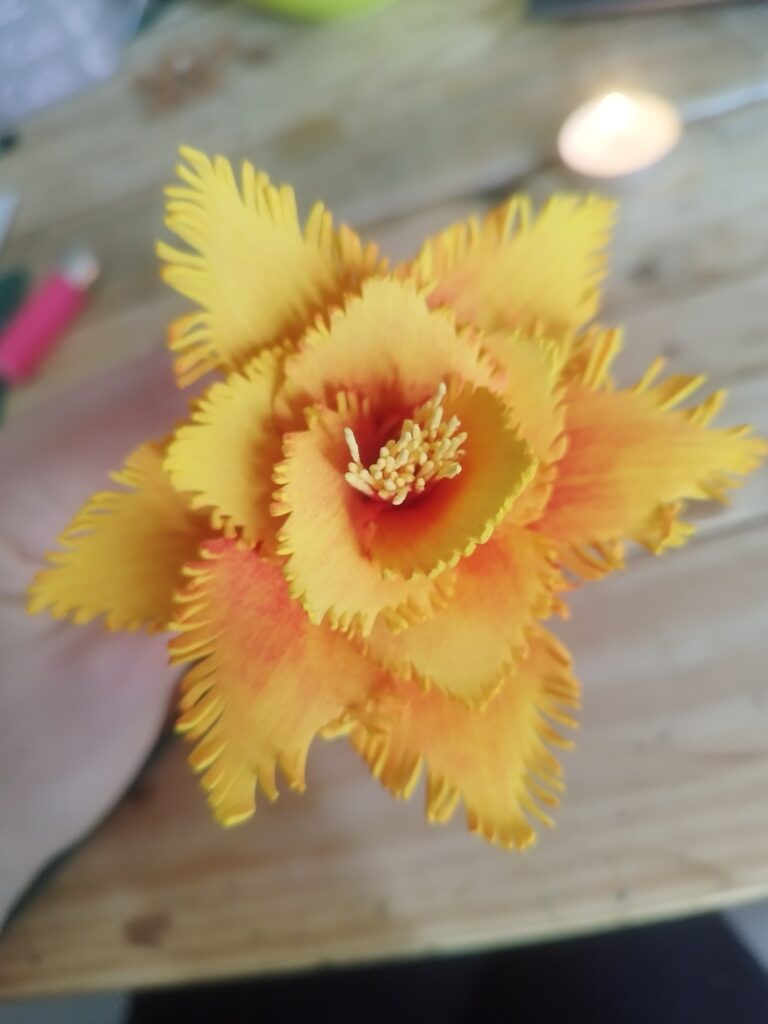 Fleur de mousse, faite à la main, décoration intérieur, cadeau femme, anniversaire